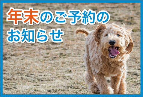 年末のご予約を開始します