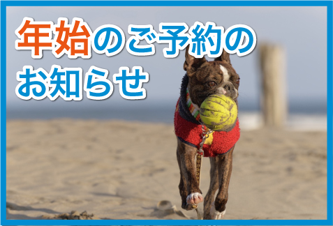 年始のご予約受付を開始しました