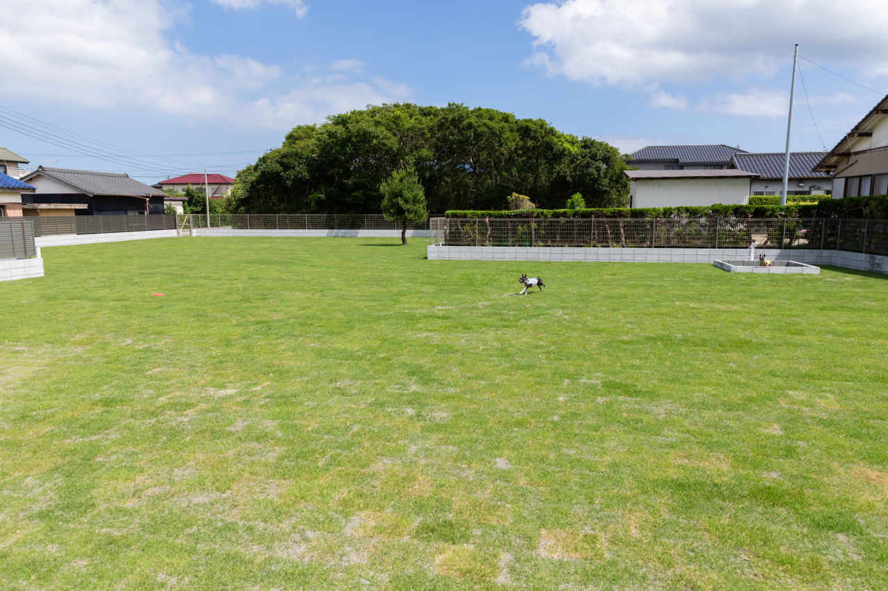 300坪の天然芝生のプライベートドッグラン